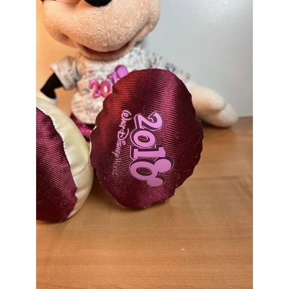 Disneyland Resort Disney Parks Minnie Mouse 2010 Hoodie Get Soaked Plush 14